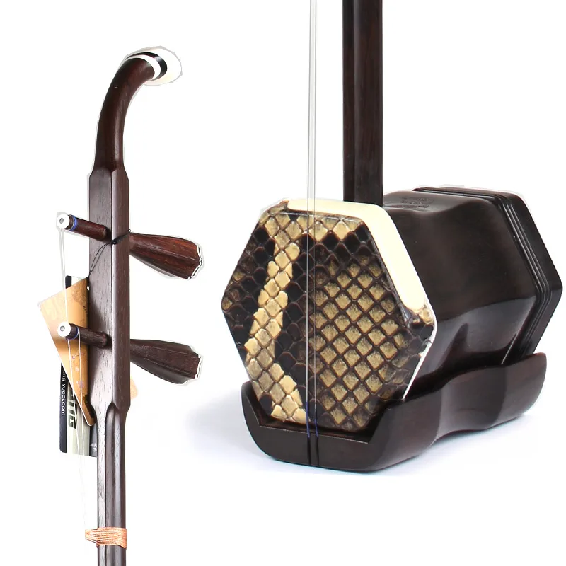 Dunhuang Professional Erhu 09A - مراجعة Erhu Violin Chinese وسعره