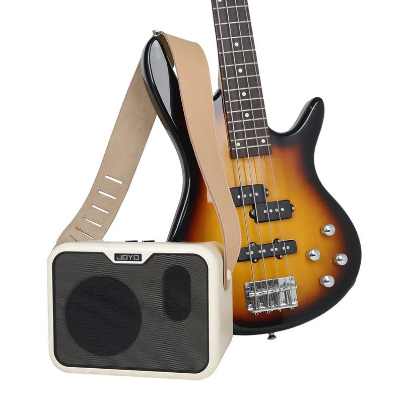 مكبر صوت كهربائي محمول ملحقات  - مراجعة Musical Instrument Amplifier وسعره