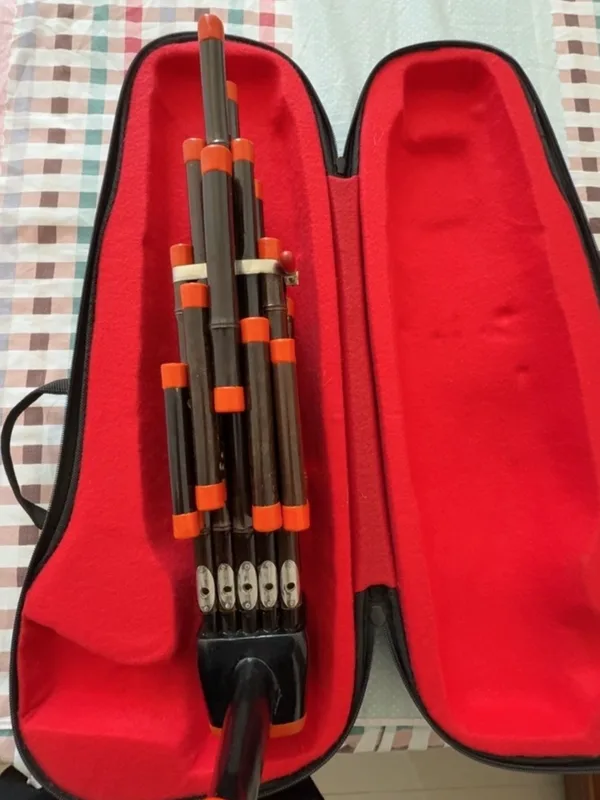 آلة موسيقية صينية تقليدية من ا - مراجعة Musical Instrument Amplifier وسعره