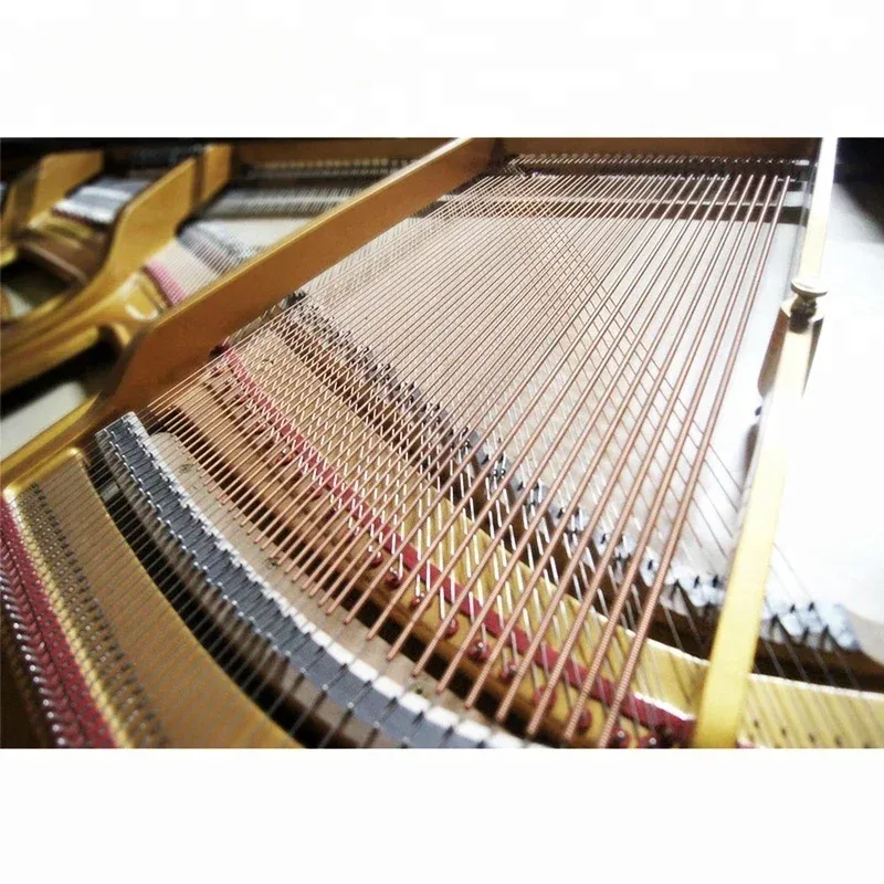 بيانو أكوستيك كبير HG-158 آلة  - مراجعة Musical Instrument Keyboard Price وسعره